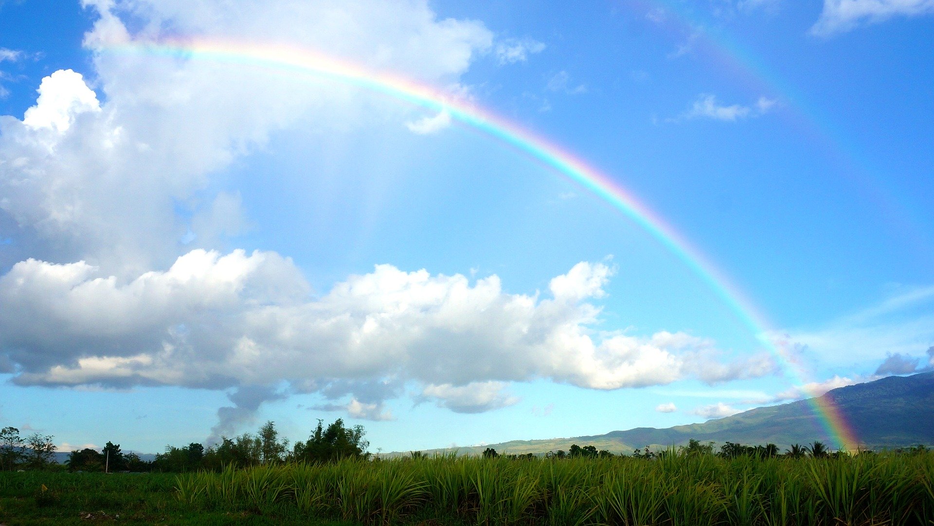 雨上がり には虹を探そう 虹を見るのがもっと楽しくなる豆知識 Lifeコラム Fuku Fukuウェブマガジン 株式会社イケダヤ 衣料品 雑貨の販売 浜松市