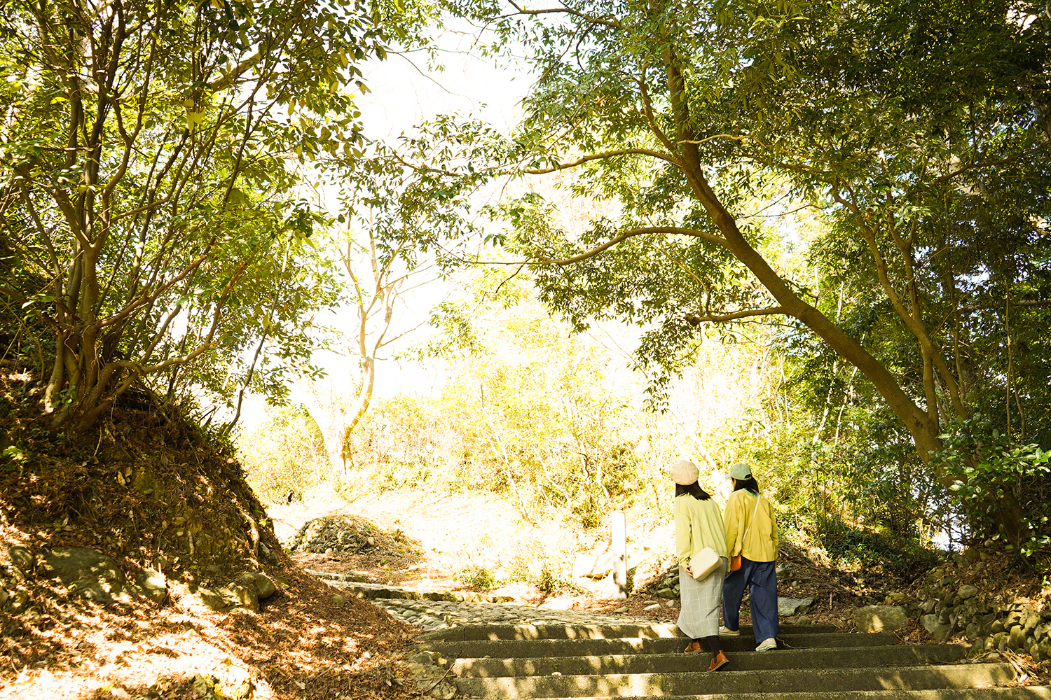 鳥羽山公園　石段