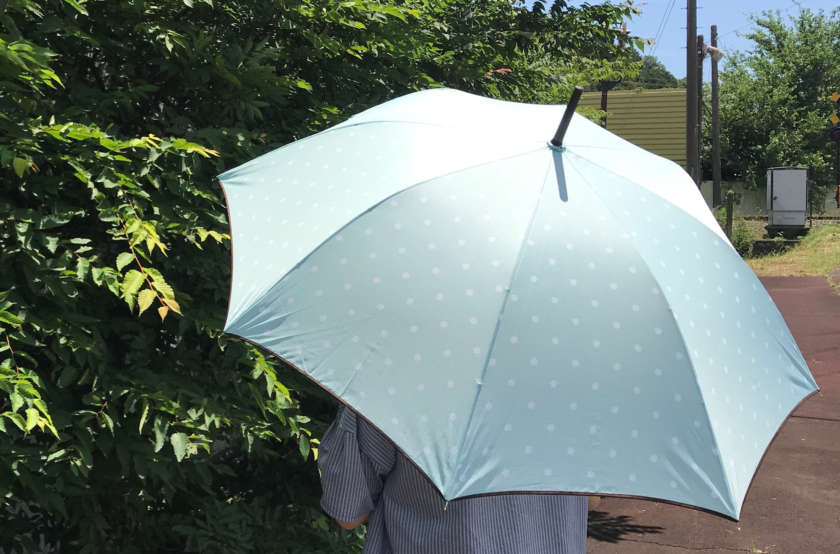 お買い得傘